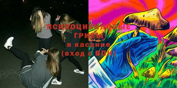 ГАЛЛЮЦИНОГЕННЫЕ ГРИБЫ Гусиноозёрск