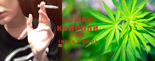 ГАЛЛЮЦИНОГЕННЫЕ ГРИБЫ Гусиноозёрск