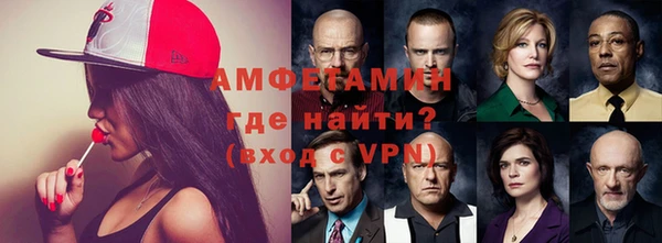 индика Гусев