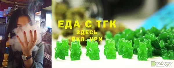 индика Гусев