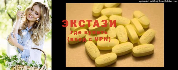 индика Гусев