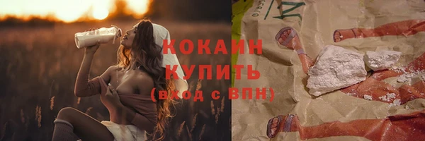 индика Гусев