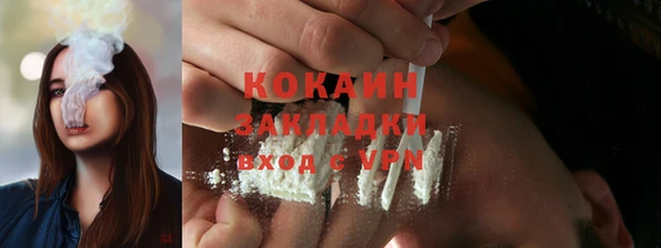 индика Гусев