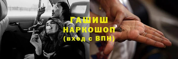 индика Гусев