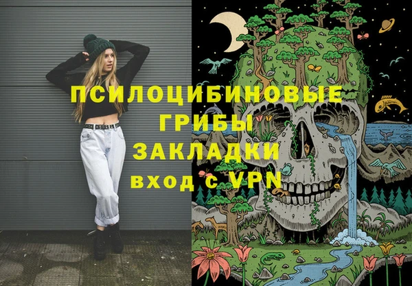 ГАЛЛЮЦИНОГЕННЫЕ ГРИБЫ Гусиноозёрск