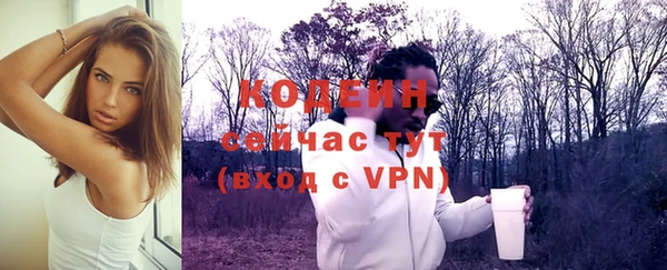 индика Гусев