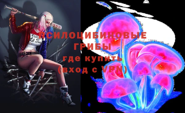 ГАЛЛЮЦИНОГЕННЫЕ ГРИБЫ Гусиноозёрск