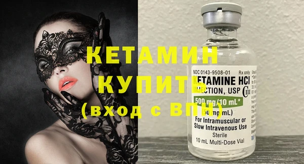 индика Гусев