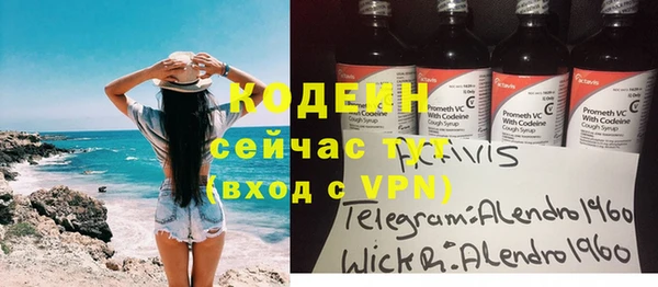 индика Гусев