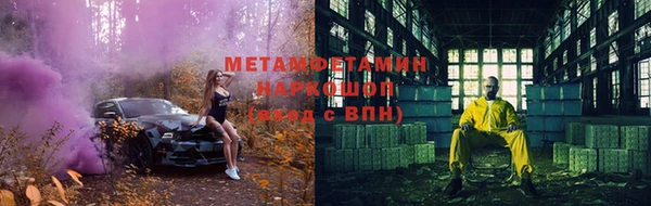 индика Гусев