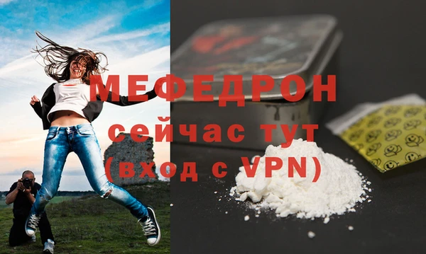 индика Гусев