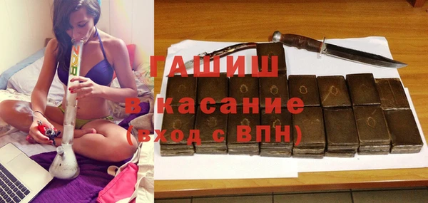 индика Гусев