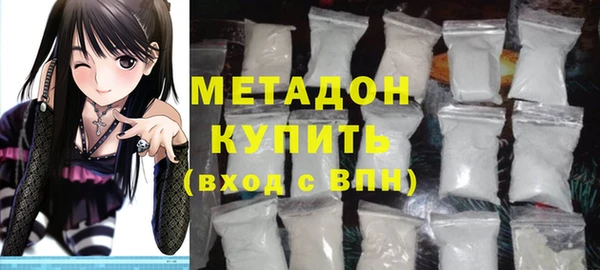 индика Гусев
