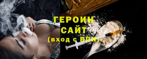 индика Гусев
