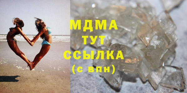 индика Гусев