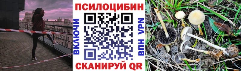 Галлюциногенные грибы Cubensis Порхов
